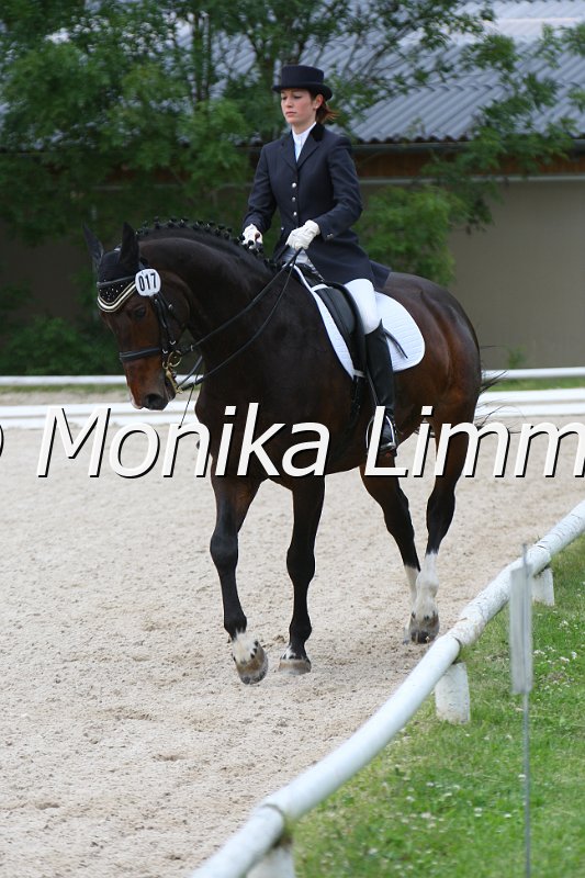 Kopie (1) von 097L7271_Amor.JPG